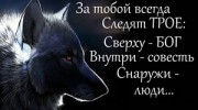 Радио Полет над зоной шансон Слушать радио Полет над зоной шансон
