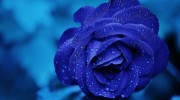 Радио Осенний блюз-2 Слушать радио Осенний блюз-2