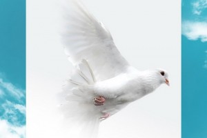 Плейлист военных песен вышел к юбилею Победы