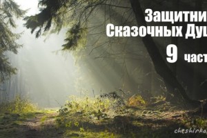 Защитник сказочных душ ч.9