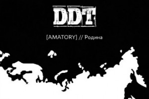 Amatory перепели «Родину» для трибюьта «ДДТ»