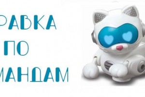 Что умеет Black black cat bot