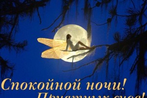 Спокойной ночи ,сладких снов от Океан Плюс!
