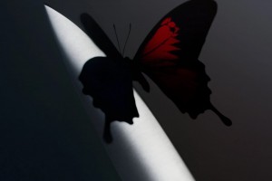 Post Malone написал песню Waiting for a miracle