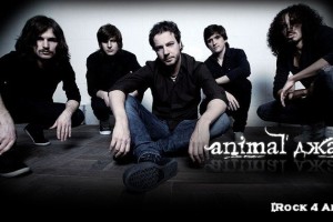 Группа «Animal ДжаZ» выпустила сингл и клип «Убийца»