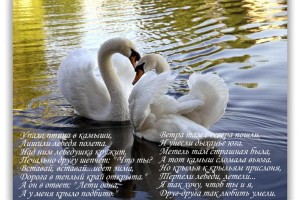 КАК ПОДДЕРЖАТЬ ЛЮБИМОГО МУЖЧИНУ?