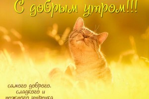 ДОброе утро