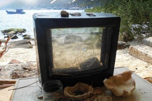 Телевизор «Ихтиозавр»