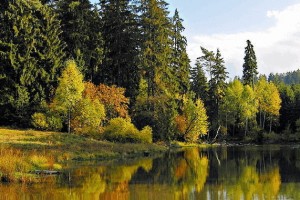 Тюмень — ворота в Сибирь