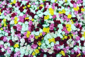 Тина Канделаки похвасталась в Instagram букетом из миллиона роз 