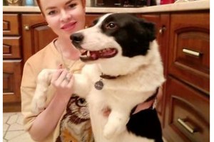 Елена Князева завела необыкновенную собаку