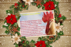 С НОВЫМ 2017 ГОДОМ!