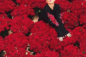 Анна Седокова похвасталась огромным количеством роз