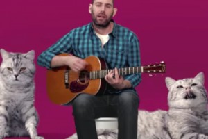 Семен Слепаков про котозависимость. Всем котофилам посвящается