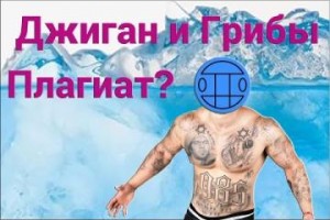 Фанаты «Грибов» напали на Джигана