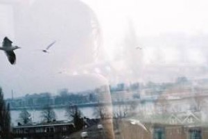 Спасибо, но не надо