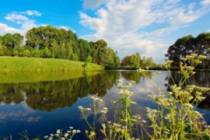 Всемирный день окружающей среды (День эколога)