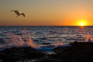 Всемирный день океанов