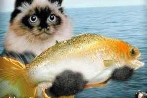 11 хитростей, как выбирать только вкусные продукты(от Пчёлки)