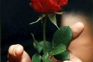 28 самых самых красивых пар кинематографа(от Пчёлки)