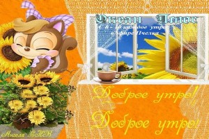 Орхидеи фаленопсис: правильный уход и выращивание(от Пчёлки)