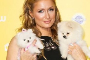 Пэрис Хилтон, Алессандра Амбросио и другие звезды в «сумасшедших» костюмах на фестивале Burning Man