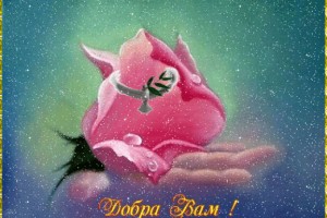 ПОРЯДОК НА КУХНЕ - ЗАЛОГ ДОСТАТКА И БЛАГОПОЛУЧИЯ В ДОМЕ(от Пчёлки)