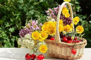 Борщ на зиму или вкусная заправка из овощей!(от Пчёлки)