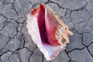 Killers представили «Wonderful Wonderful»