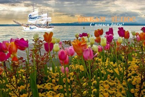 9 ТРАВ И СПЕЦИЙ, КОТОРЫЕ ВЫ НАПРАСНО НЕ ИСПОЛЬЗОВАЛИ (От Пчёлки)