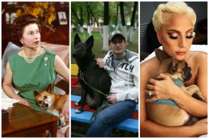 Звезды и их собаки. Кто приносит тапочки знаменитостям