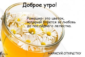 НЕ ВЫБРАСЫВАЙТЕ МАНДАРИНОВЫЕ КОРКИ!(От Пчёлки)