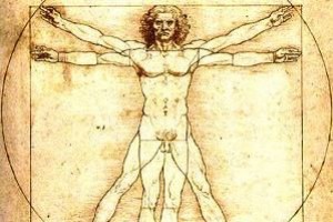 Интересные факты о человеке и его теле
