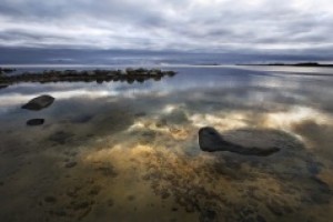 Всемирный день водно-болотных угодий