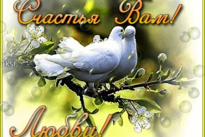 15 черт облика, которые мужчины всегда будут замечать в женщинах(От Пчёлки)