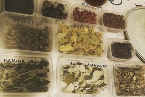 Елена Ваенга получила в подарок от друга ягоды и лекарственные травы