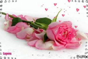 6 ЗНАКОВ ЗОДИАКА, КОТОРЫЕ СКРЫВАЮТ СВОИ ЧУВСТВА(От Пчёлки)