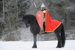 Троян Зимний