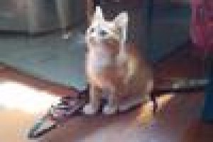 14 признаков того, что это ваша не первая жизнь на Земле(От Пчёлки)