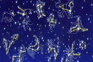 Чего больше всего боится каждый знак зодиака в отношениях?(ОТ ПЧЁЛКИ)