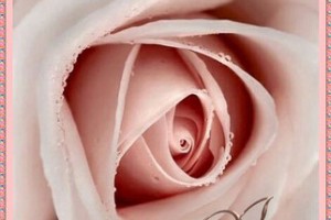 Что каждый знак Зодиака хочет, чтобы вы знали о нем(От пчёлки)