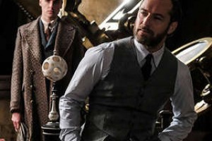 Создатели "Фантастических тварей" не заметили серьезный киноляп