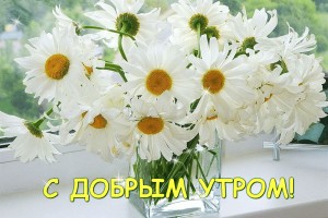 КАКИЕ ЖЕНЩИНЫ НРАВЯТСЯ МУЖЧИНАМ: ПРЕДПОЧТЕНИЯ ПО ЗНАКАМ ЗОДИАКА(ОТ ПЧЁЛКИ)