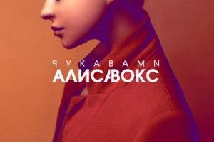 Владимир Матецкий начал работать с Алисой Вокс