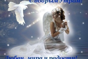 КАКИЕ ЗНАКИ ЗОДИАКА МОГУТ БЫТЬ САМЫМИ ВЕРНЫМИ И НАДЁЖНЫМИ ДРУЗЬЯМИ?(От Пчёлки)