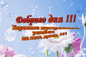 10 полезных свойств зеленого чая(От Пчёлки)
