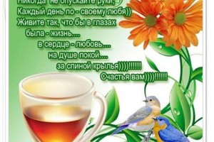 О эти восхитительные помидоры! 10 полезных свойств «яблок любви»(От Пчёлки)