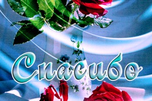 Быть счастливым: поднять самооценку.(ОТ ПЧЁЛКИ)