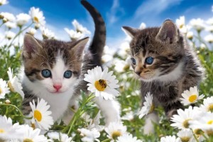 10 качеств человека, которого любят люди(От Пчёлки)