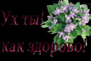 Ученые назвали идеальный возраст для брака(От Пчёлки)